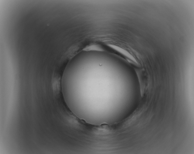 X0000111670475200907241216