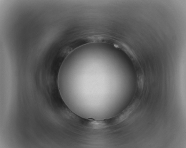 X0000111670477200907241216