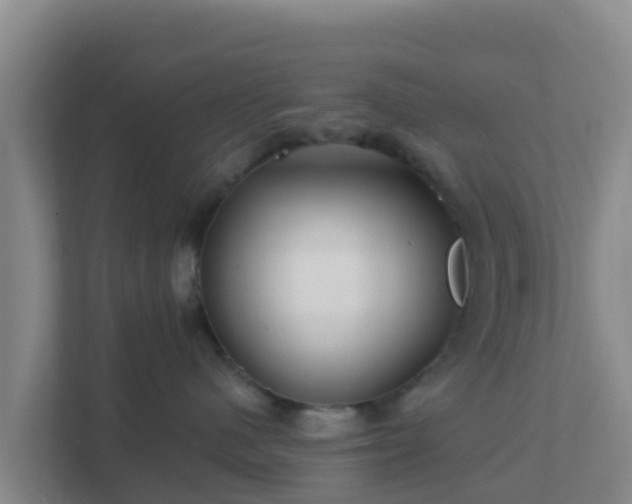 X0000111670480200907241216