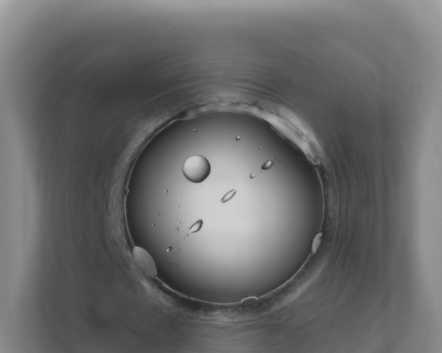 X0000111670481200907241215