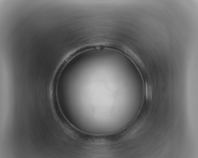 X0000111670483200907241215