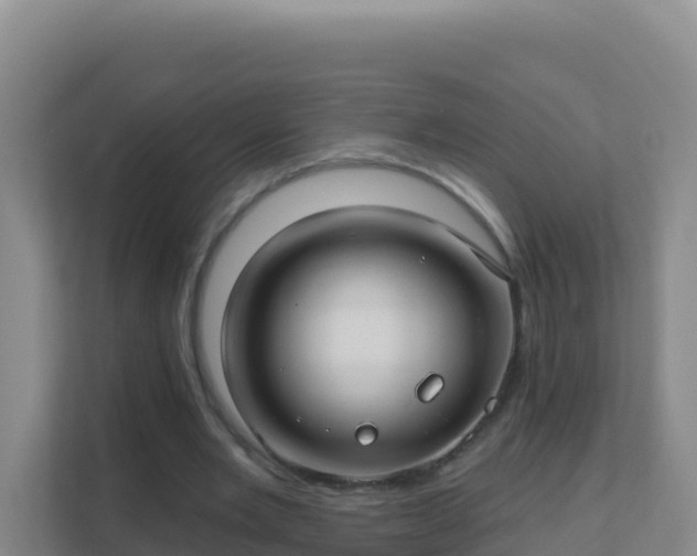 X0000111670485200907241215