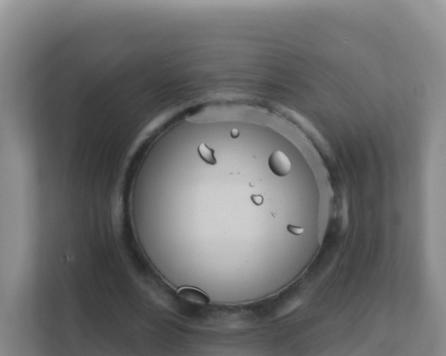 X0000111670488200907241215