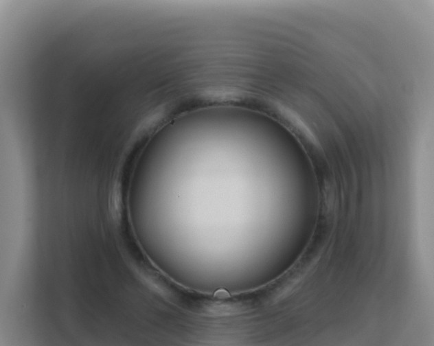 X0000111670494200907241215