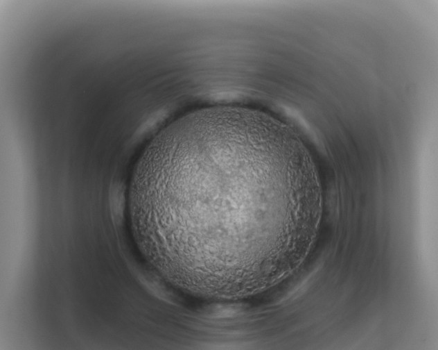 X0000111670495200907241215