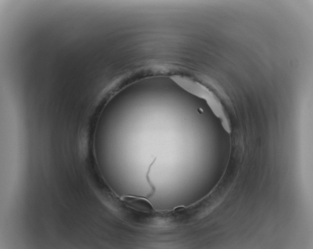 X0000111670496200907241215