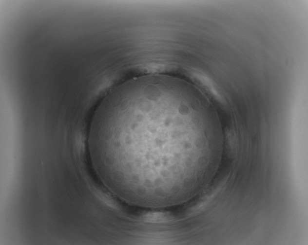 X0000111670499200907241215