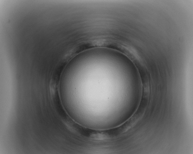 X0000111670503200907241215