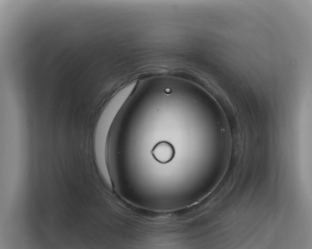 X0000111670505200907241215