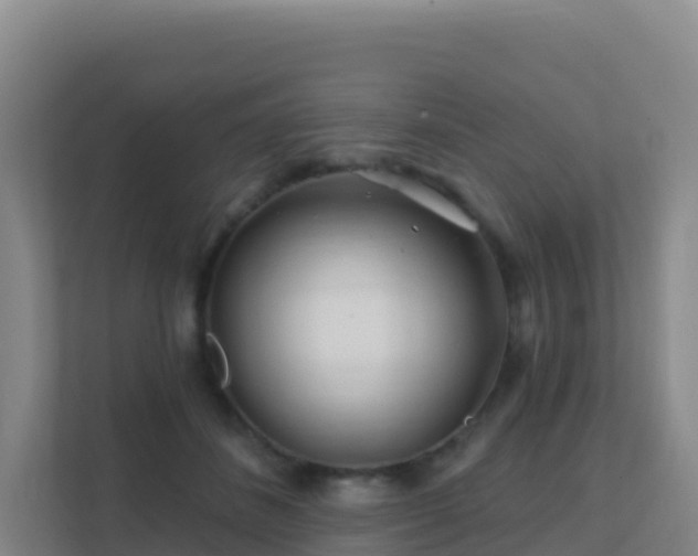 X0000111670508200907241215