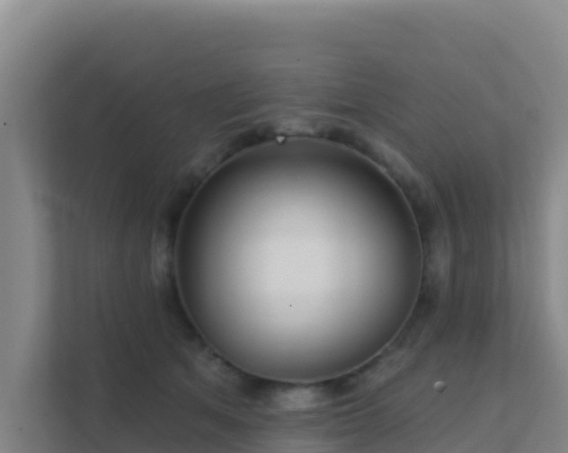 X0000111670513200907241215