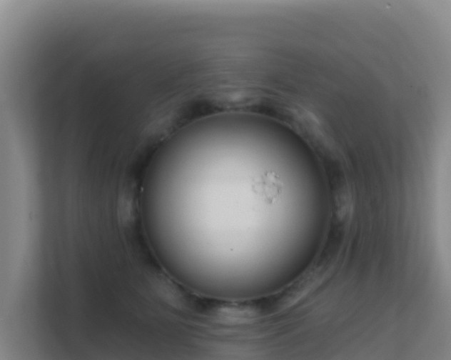 X0000111670515200907241215