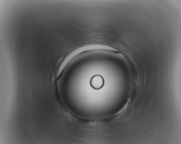 X0000111670520200907241215