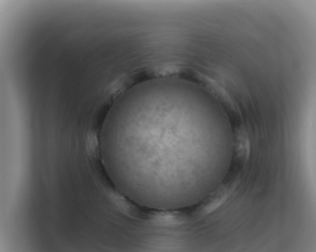 X0000111670523200907241215