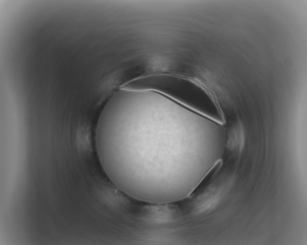 X0000111670524200907241215