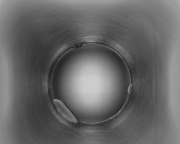 X0000111670530200907241214