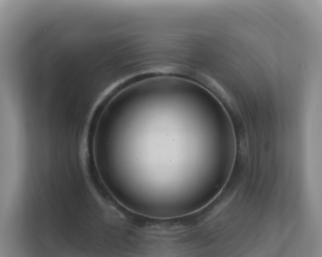 X0000111670532200907241214