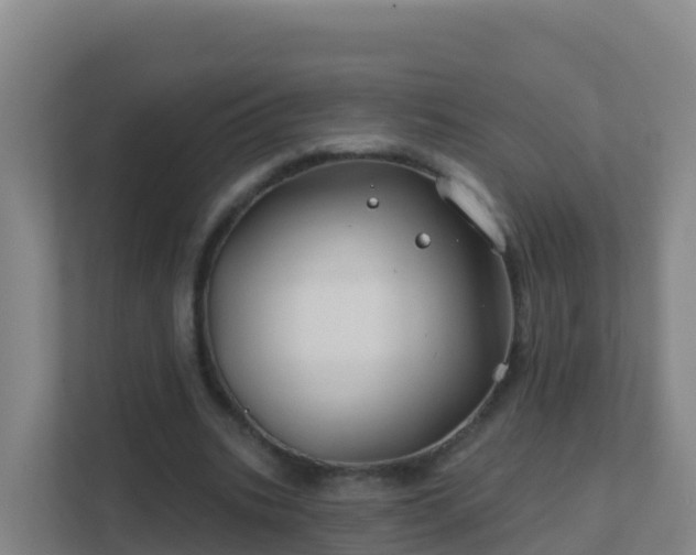 X0000111670535200907241214