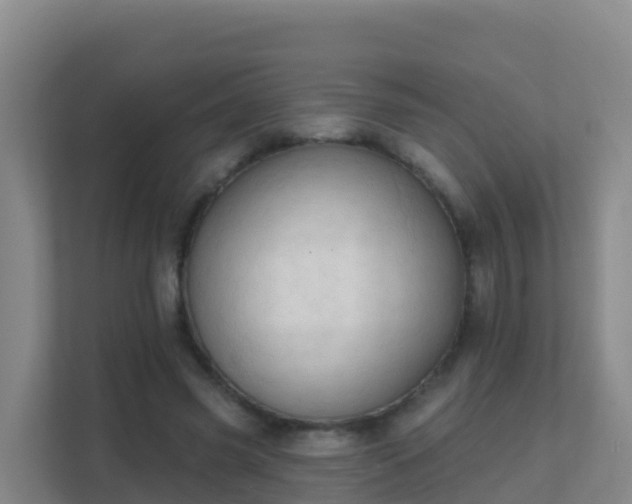 X0000111670541200907241214