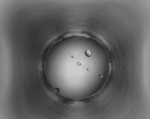 X0000111670543200907241214