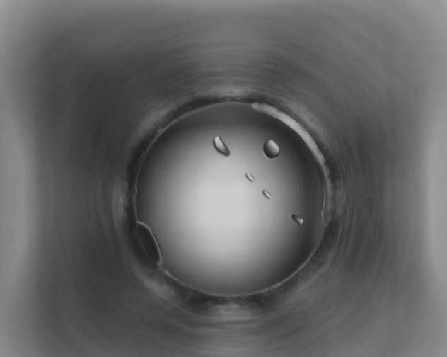 X0000111670544200907241214