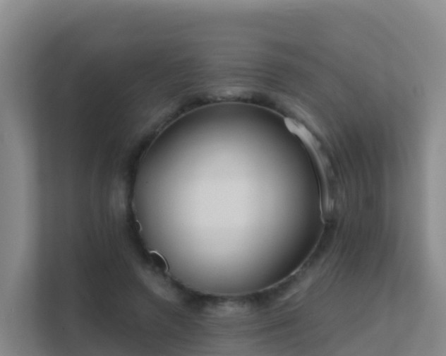 X0000111670546200907241214