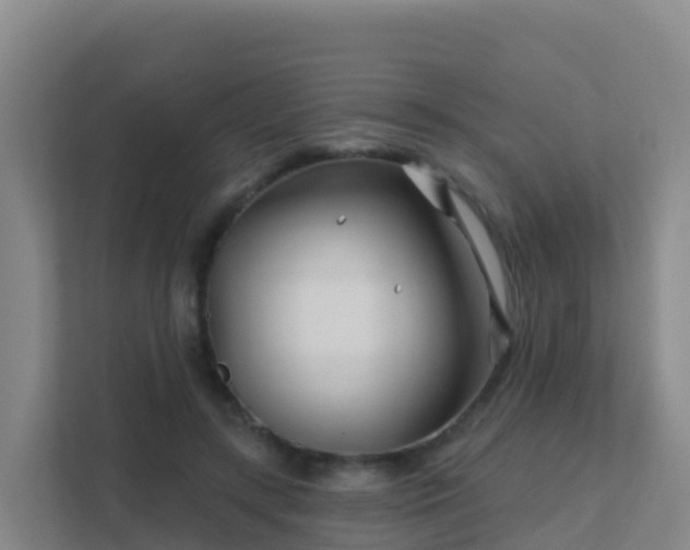 X0000111670547200907241214