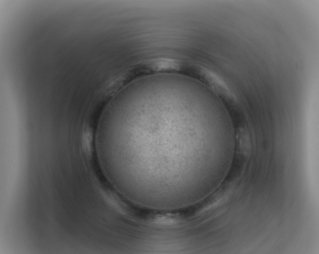 X0000111670550200907241214