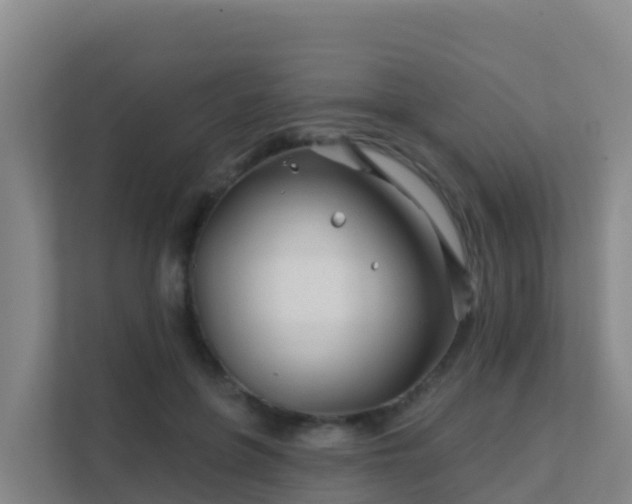 X0000111670551200907241214