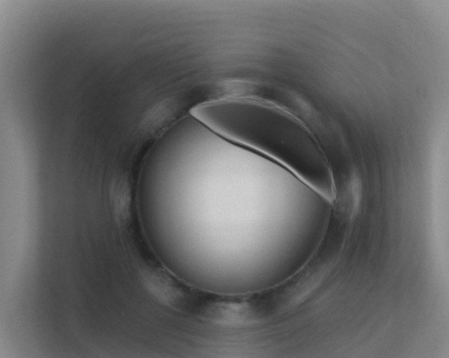 X0000111670552200907241214