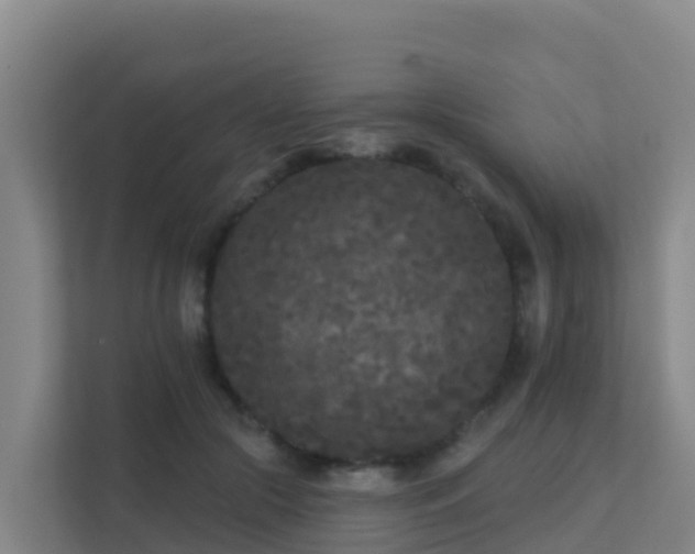 X0000111670553200907241214