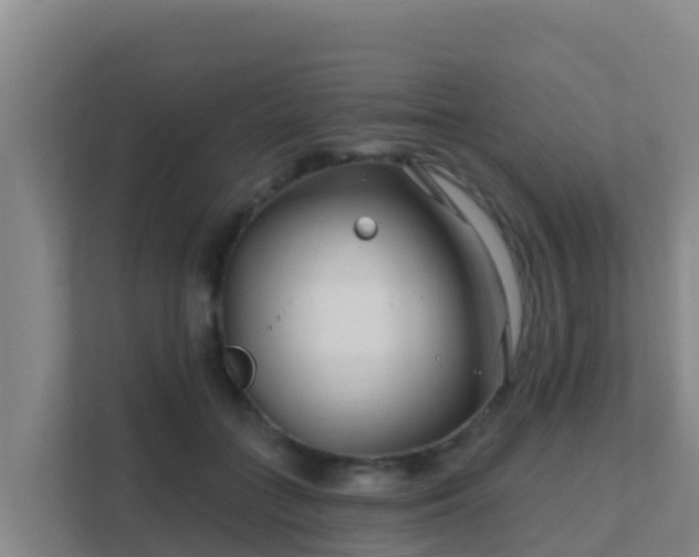 X0000111670555200907241214