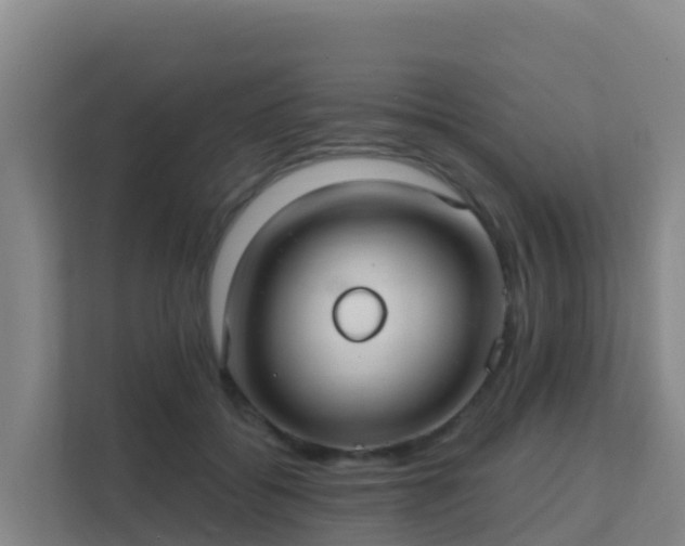 X0000111670556200907241214