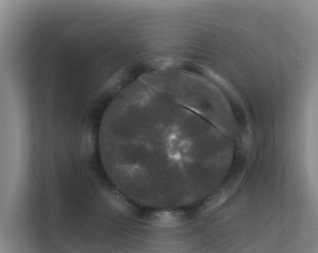 X0000111670558200907241214