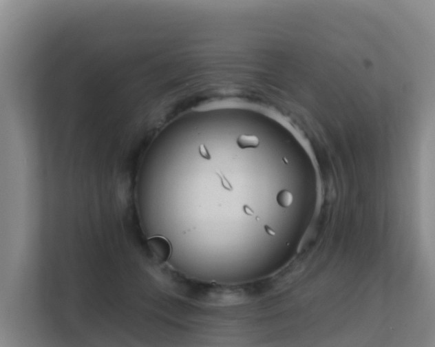 X0000111670559200907241214