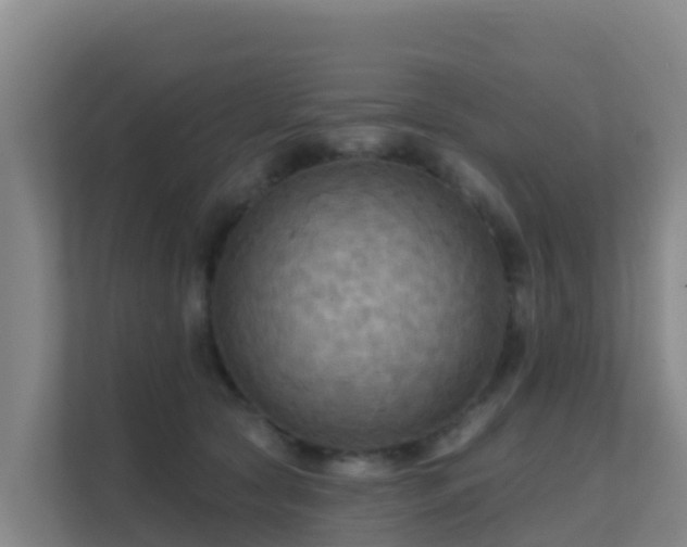 X0000111670561200907241214