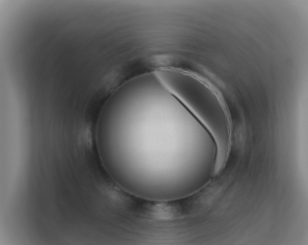 X0000111670562200907241214