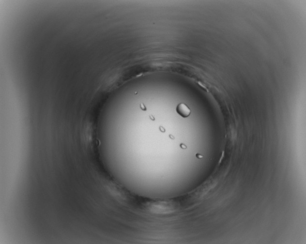 X0000111670567200907241214