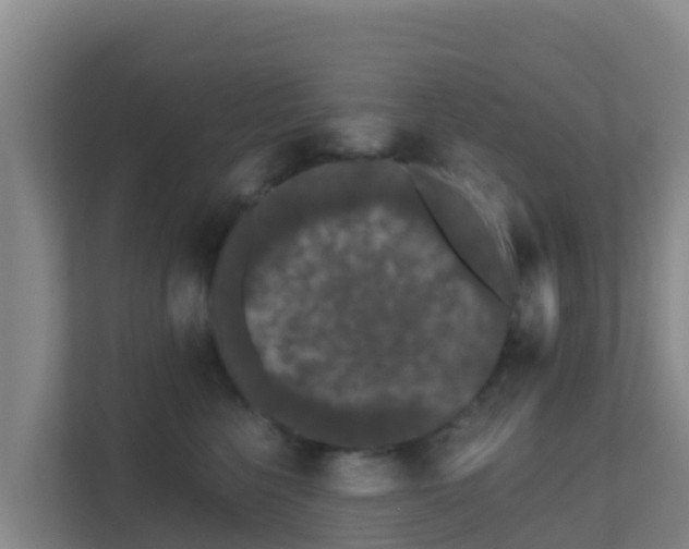 X0000111670568200907241214