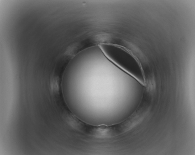 X0000111670570200907241214