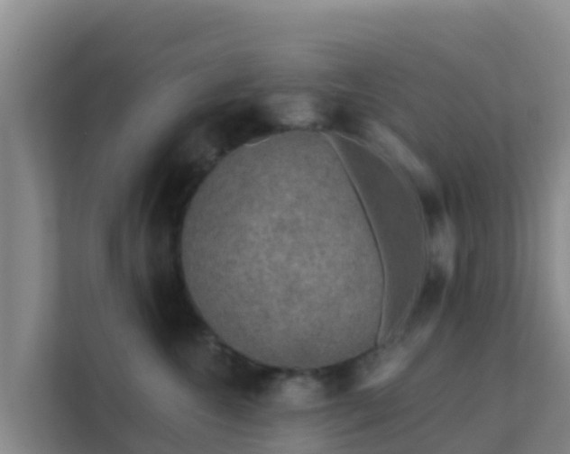 X0000111670572200907241214