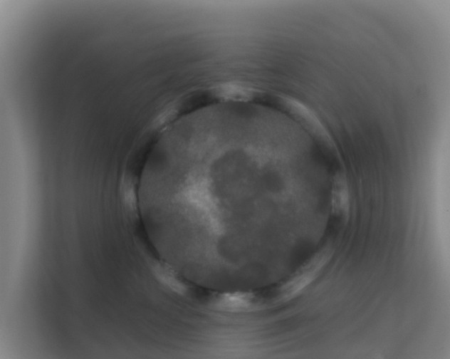 X0000111670573200907241214