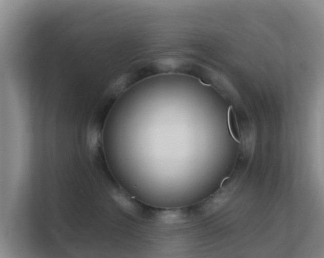 X0000111670574200907241214