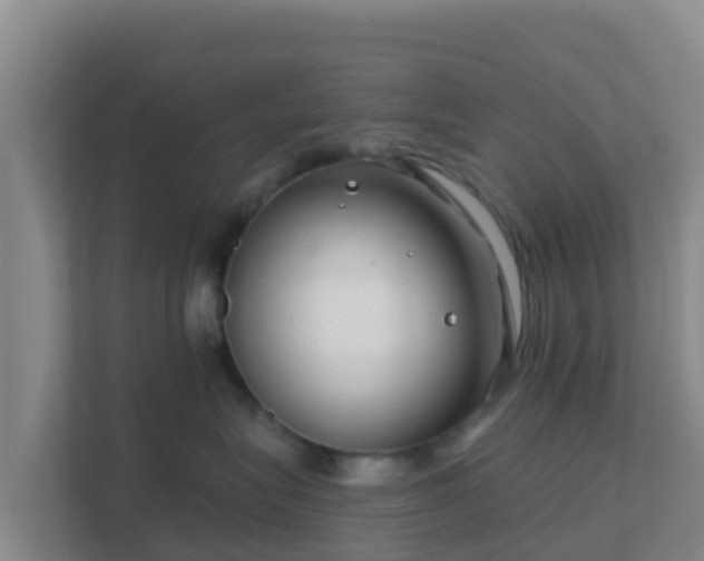 X0000111670575200907241214