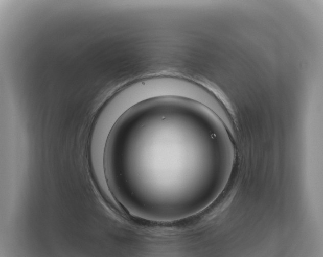 X0000111670577200907241214