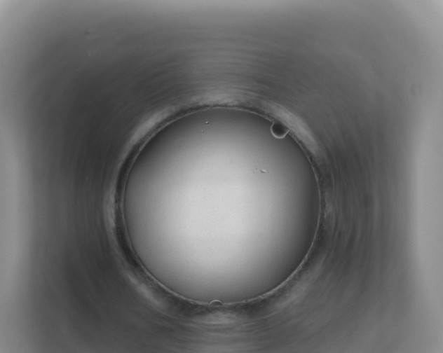 X0000111670578200907241214