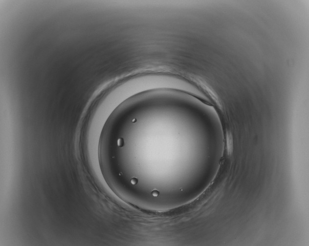 X0000111670579200907241214