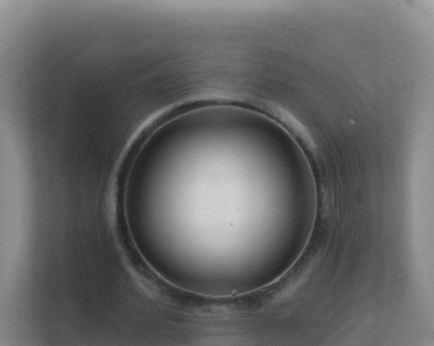 X0000111670580200907241214