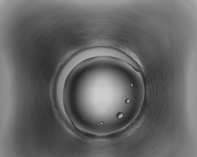 X0000111670581200907241214