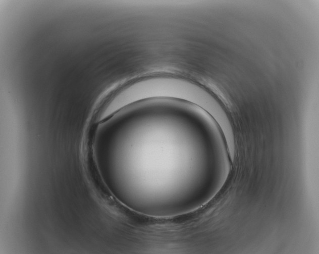 X0000111670583200907241214